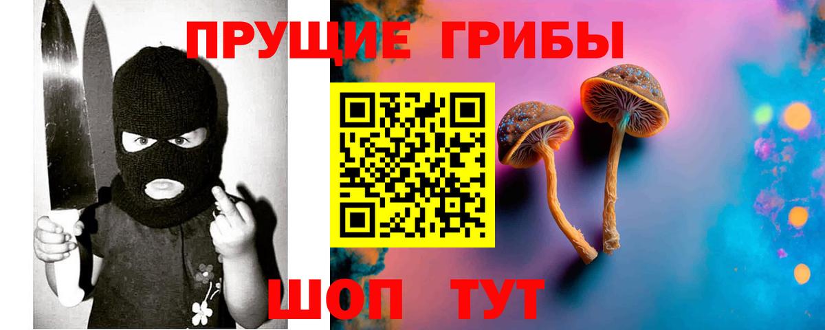 Псилоцибиновые грибы ЛСД Кохма