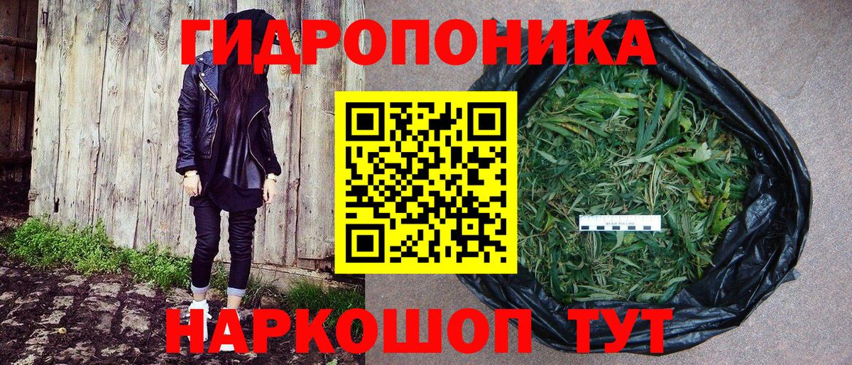 Каннабис VHQ  Марихуана тримм  Марихуана Amnesia  Кохма  Вход с VPN  Канабис марихуана 
